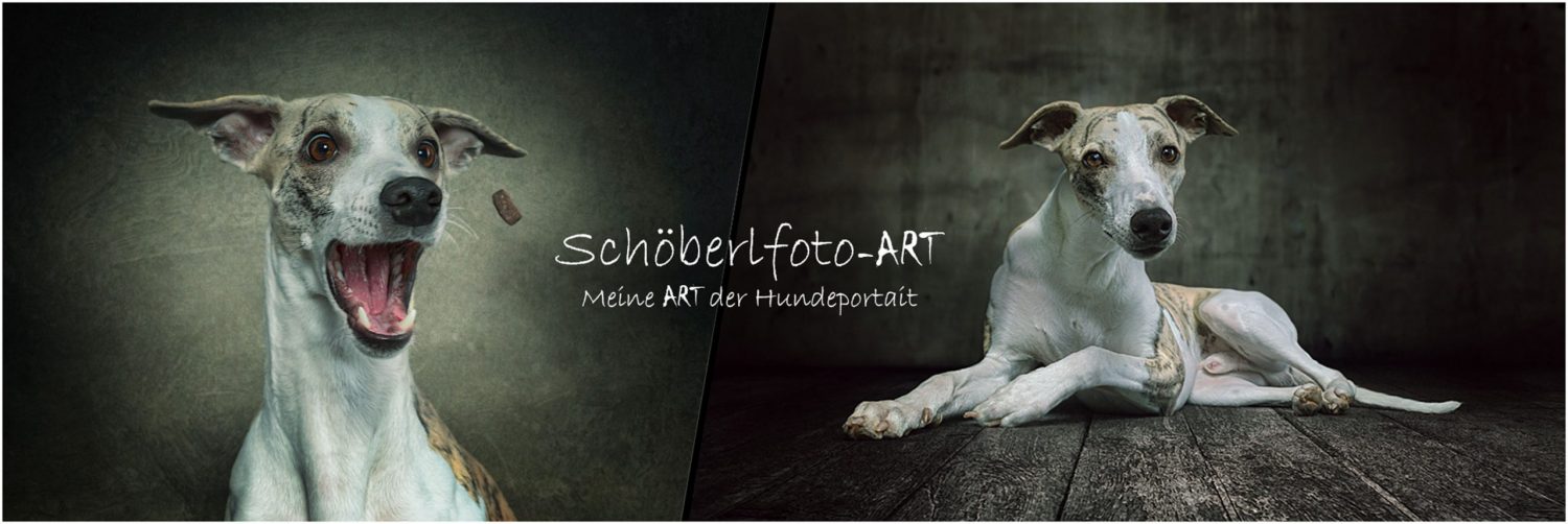 Schoeberlfoto-Art